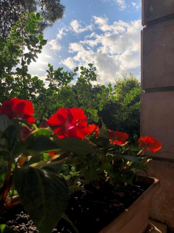 Sunone Dubrovnikアパートメント エクステリア 写真