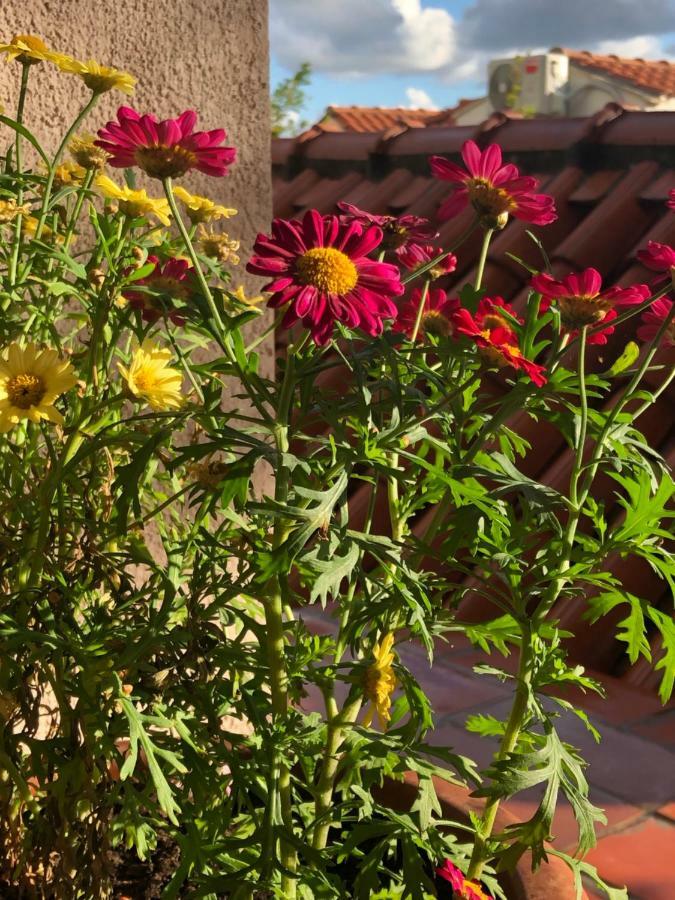 Sunone Dubrovnikアパートメント エクステリア 写真